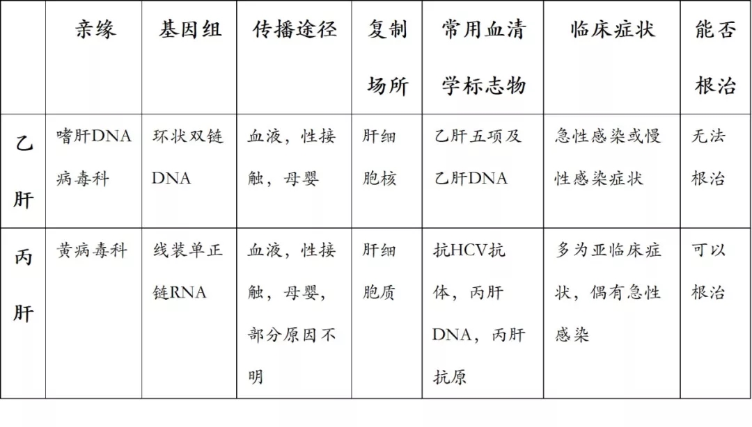 丙肝與乙肝相差不止一個字