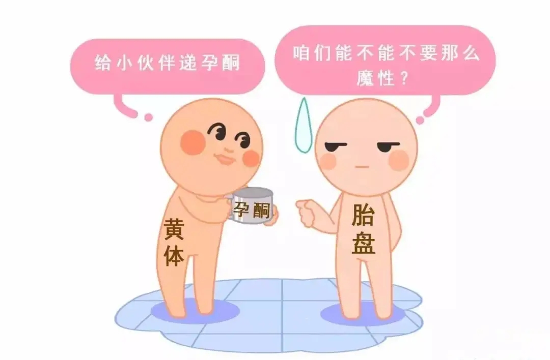 HCG和孕酮低一定會流產？備孕女性必須知道的孕早期“秘密”
