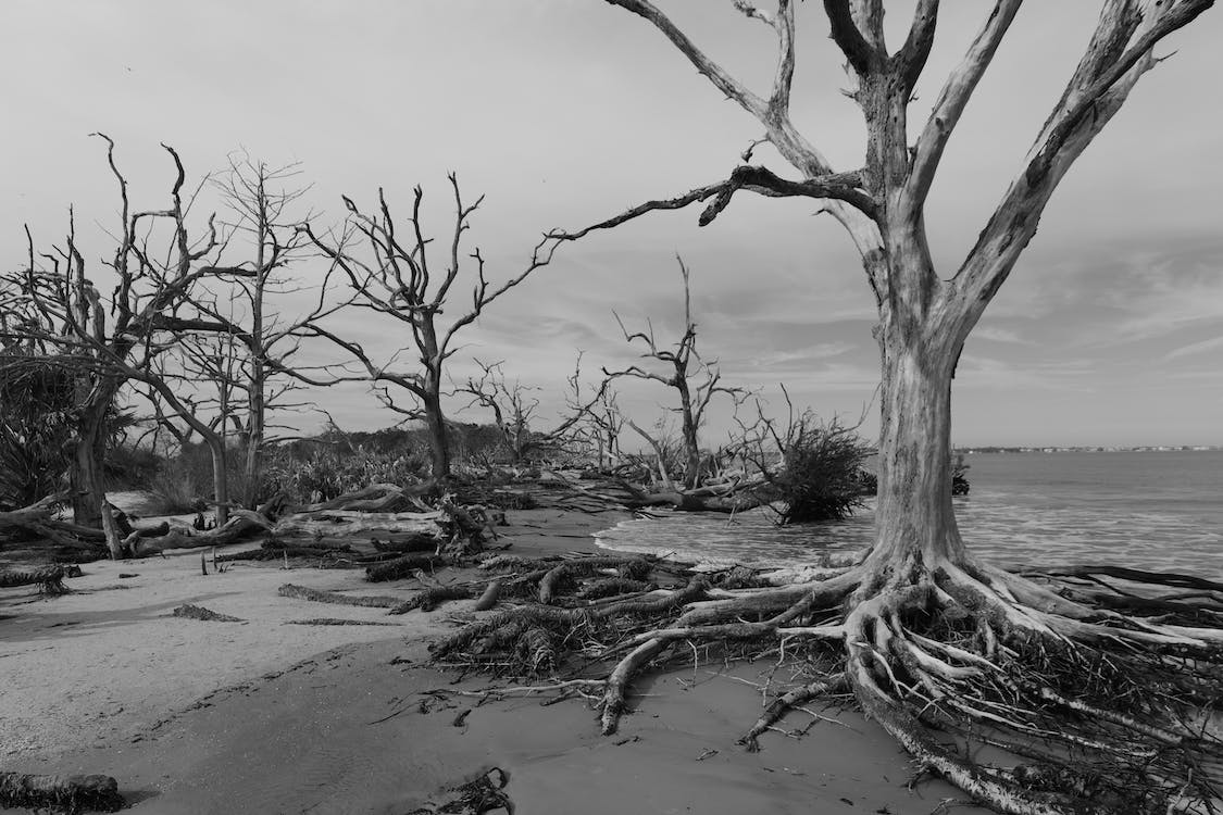 毒品滋生的陰影:當前毒品對人類的廣泛影響及應對之策